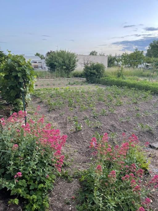 Appartement Dans Maison Avec Cour Et Parc Fresnes-en-Woevre المظهر الخارجي الصورة